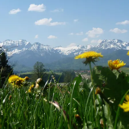 Mayr - Bergblick * Füssen