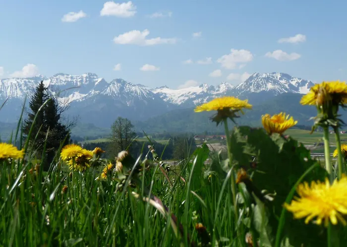 Mayr - Bergblick * フュッセン